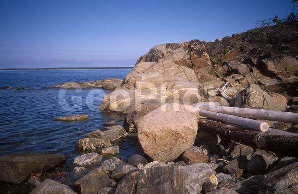 ����� ����