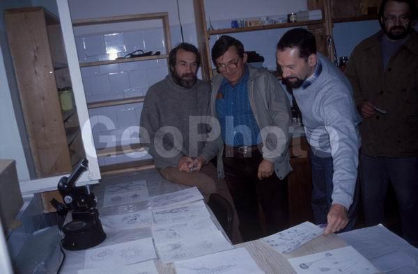 ����� ����