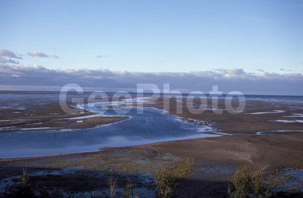 ����� ����