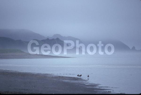 ���������, ������� ������, ������ ��������, ��������, ���������, ������, �����������, �������, ������, ����, ����� �������, ����������, ����������, �����, ����, �������, ����, ������� �����, �����, ������, ������, �����, ������