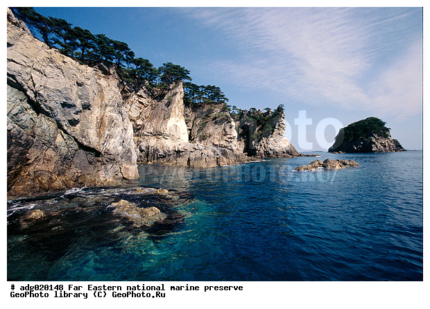 �����, ������� ������, ��������, ����� �����, ����� ��������, �������� ����, ����������, ����, ������� ���������, ������� �������, ������� ������������, ������� ����������, ����� ���������� ����������, ������, ������, ���������� ������ ������������