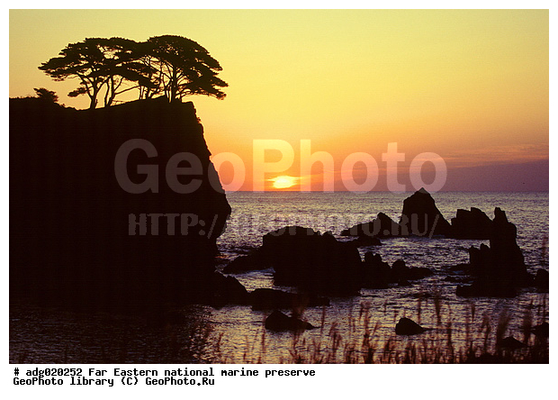 �����, ������� ������, ��������, ������� �� ����, ����� �����, ����� ��������, �������� ����, ����������, ����, ������� ���������, ������� �������, ������� ������������, ������� ����������, ����� ���������� ����������, ������, ������, �������, ������ �� ����, ���������� ������ ������������, ����� ����, ����, ���� �� ����