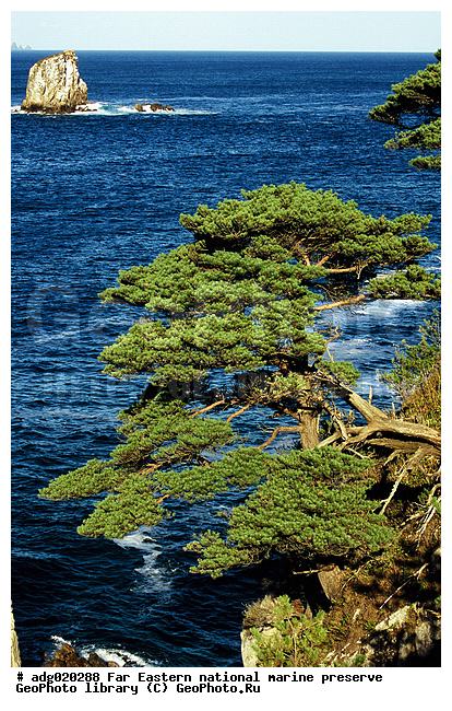 �����, ������� ������, ��������, ����� ��������������, ����� �����, ����� ��������, �������� ����, �������, ����������, ����, ������� ���������, ������� �������, ������� ������������, ������� ����������, ����� ���������� ����������, ������, ������, ��������, ����� ����, ����� ���������, ���������� ������ ������������, �����