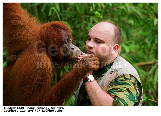 ���������, �������, ������������, ������� ���, ������ �������, ����� ��������, ��������, ������������ ���� ������ ������, ��������, ���������, �������, ������ wildlife, �������, ����������� ���, ������� � ��������, ���������������� ��������, �������������� ���