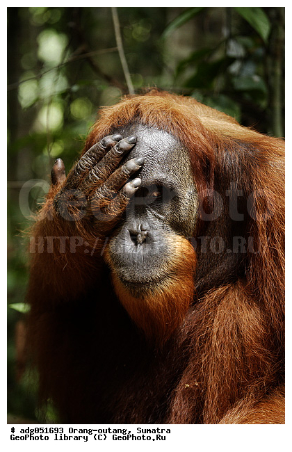 ������ ������, ���������, ������������� ������� �����, ���������, �������, ������������, ������� �������������� ���, ������ �������, �������, ����� �������, ���������� ����, ��������, �������, ���������� �����, ���������� ���, ����������������, ���������������� ����� �������, ����������������, ������������ �������