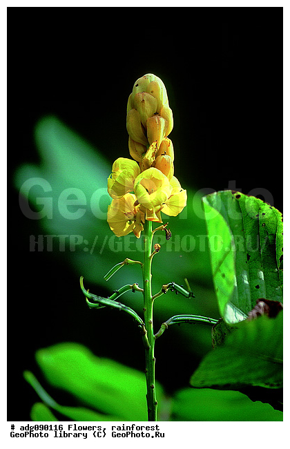 ������� �������������� ����, ������� ����������� �����, �������� ����, ��������������, ������������������, ��������, ����������� �����. �������, ����������� ���, �����, �����, ������ ������ ������, ������� ����