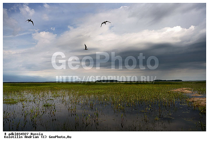 ������� ����, ������, ������, ������, ����������, ��������, ������������, ����, �������, �������������