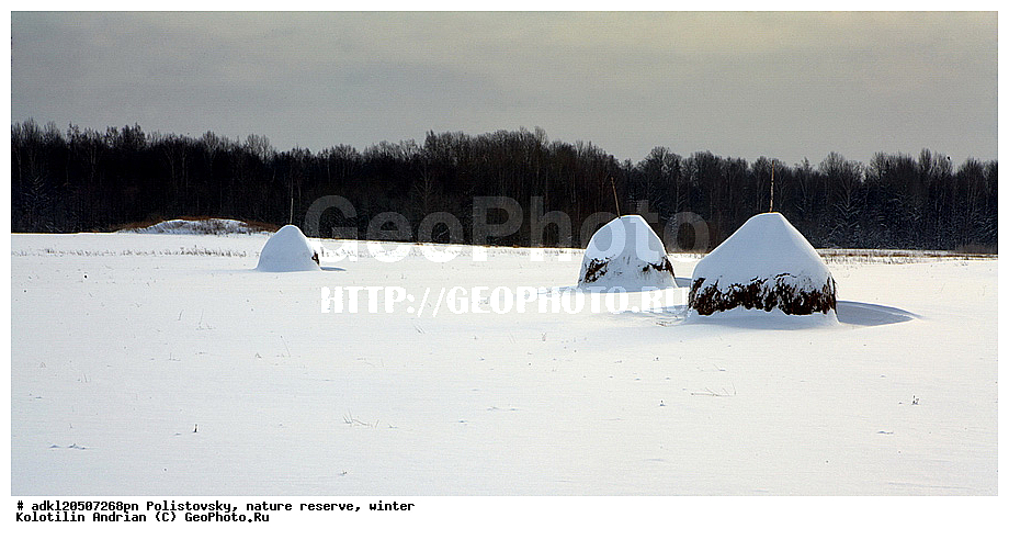 ����, ������, ������������, ���������, ��������, ����������, ����, ��������, ��������