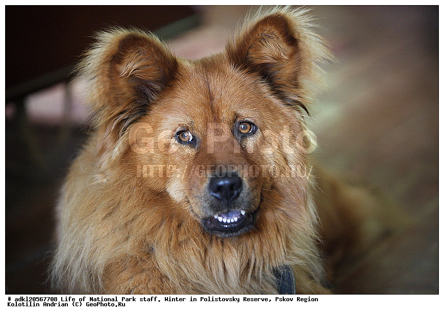 ������������ ����������, ����� � �������, ����������, ������, ������ �������, ����������, ���� � �������, ��������������, ����