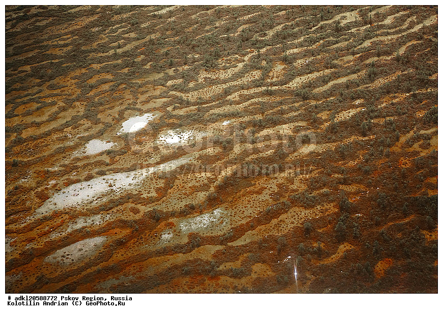 ��������������, ��� ������, �������� ������, ������������ ����������, ���� , ��������� �������, � ���������, ��-2, , ��������,  �������, �������� ��������, ������