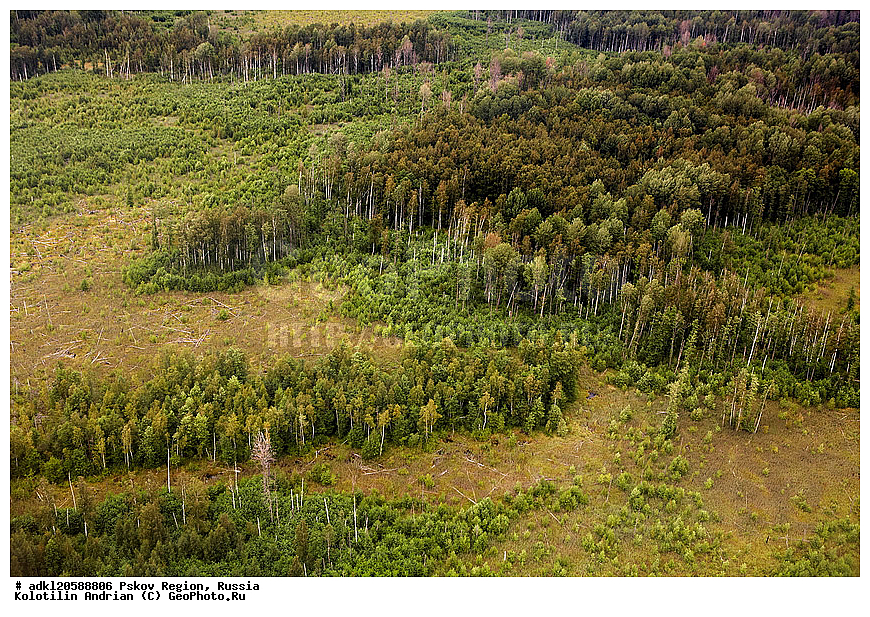 ��������������, ��� ������, �������� ������, ������������ ����������, ���� , ��������� �������, � ���������, ��-2, 