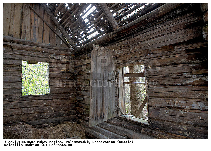 ����������, ����, ������������, �������, ��������� �������, ���������, �������, �����������, �������, ������