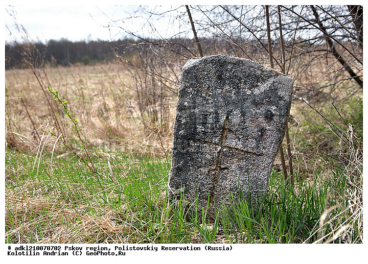 ����������, ����, ������������, �������, ��������� �������, ���������, �������, �����������, �������, ������