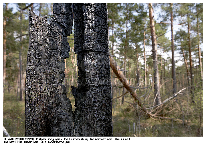 ����������, ����, ������������, �������, ��������� �������, ������, �������, ���������, ���, ������