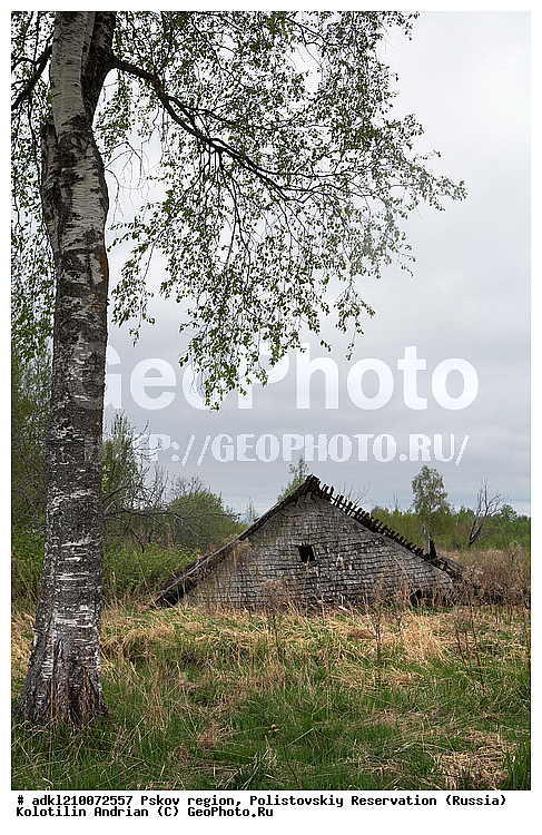 ����������, ����, ������������, �������, ��������� �������, ���������, �������, �����������, �������, ������