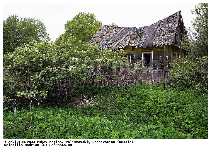 ����������, ����, ������������, �������, ��������� �������, ���������, �������, �����������, �������, ������