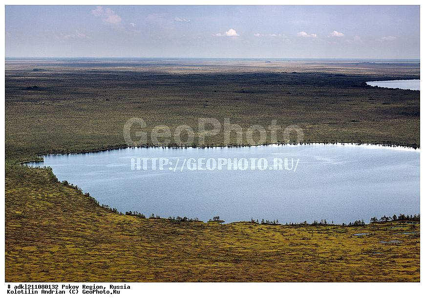 ��������������, ��� ������, �������� ������, ������������ ����������, ���� , ��������� �������, �����, ����, ������, ������ � ������ �������� ������