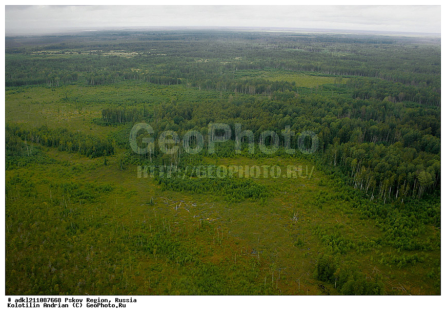 ��������������, ��� ������, �������� ������, ������������ ����������, ���� , ��������� �������, � ���������, ��-2, 