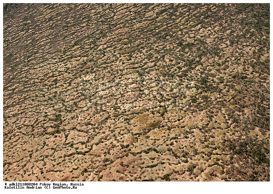 ��������������, ��� ������, �������� ������, ������������ ����������, ���� , ��������� �������, ��������,  �������, �������� ��������, ������