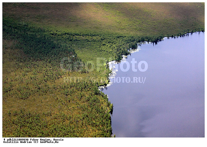 ��������������, ��� ������, �������� ������, ������������ ����������, ���� , ��������� �������, �����, ����, ������, ������ � ������ �������� ������