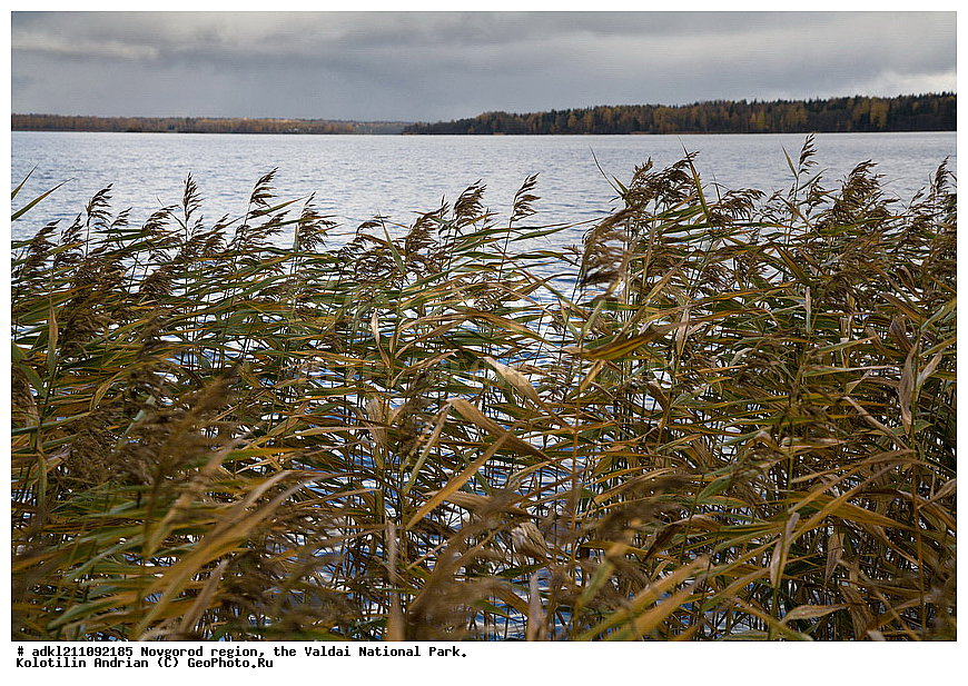  ������������ �������, ����������, �������, ������������ ����, ������, ������, ������, ������� ����, �����, ������� ������, ������������ �������, �����, �����, �����                                                                         

