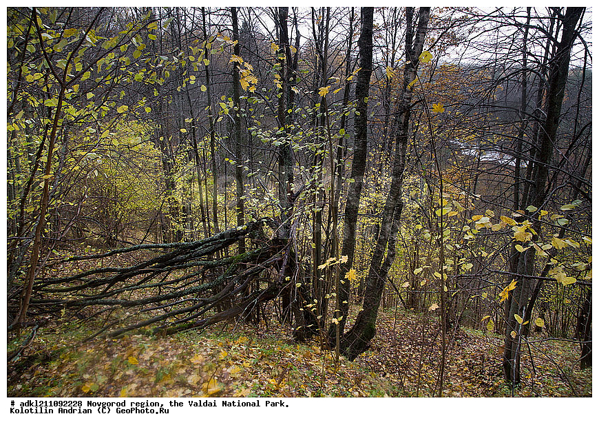  ������������ �������, ����������, �������, ������������ ����, ������, ������, ������, ������� ����, �����, ������� ������, ������������ �������, �����, �����, �����                                                                         

