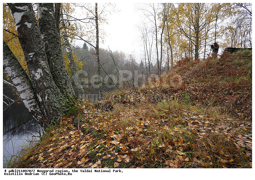 ������������ �������, ����������, �������, ������������ ����, ������, ������, ������, ������� ����, �����, ������� ������, ������������ �������, �����, �����, �����, �������, ����, ������� ����                                                                         

