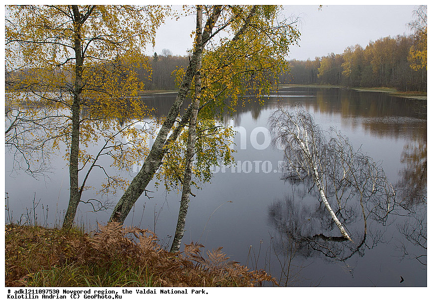  ������������ �������, ����������, �������, ������������ ����, ������, ������, ������, ������� ����, �����, ������� ������, ������������ �������, �����, �����, �����                                                                         

