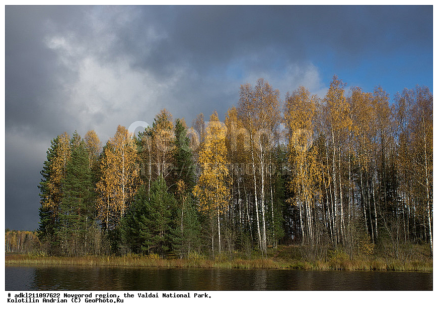  ������������ �������, ����������, �������, ������������ ����, ������, ������, ������, ������� ����, �����, ������� ������, ������������ �������, �����, �����, �����                                                                         

