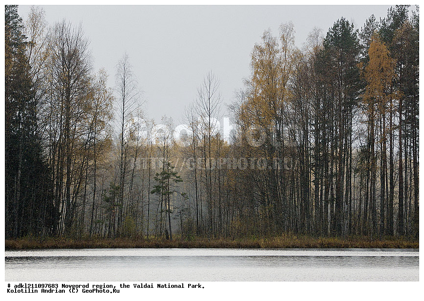  ������������ �������, ����������, �������, ������������ ����, ������, ������, ������, ������� ����, �����, ������� ������, ������������ �������, �����, �����, �����                                                                         

