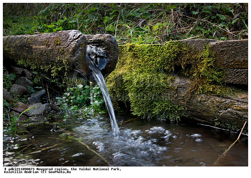  ������������ �������, ����������, �������, ������������ ����, ������, ������, ������, ������� ����, �����, ������� ������, ������������ �������, �����,  ������������ �����������, �������, ������� �������             


