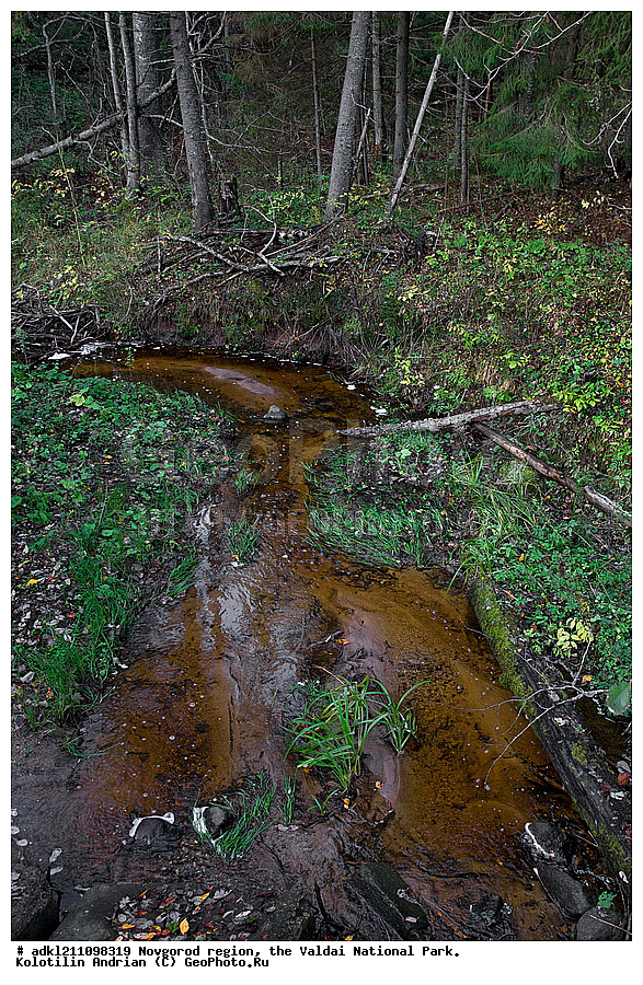 ������������ �������, ����������, �������, ������������ ����, ������, ������, ������, ������� ����, �����, ������� ������, ������������ �������, �����,  ������������ �����������,            


