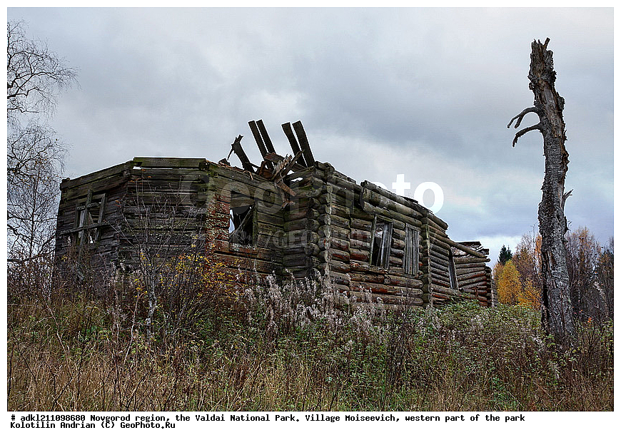          ������������ �������, ����������, �������, ������������ ����, ������, ������, ������, ������� ����, �����, ������� ������, �������, ����������, �������, �����������                              , ���������� �������, ���������� ����������, ���������