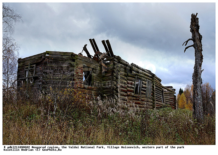          ������������ �������, ����������, �������, ������������ ����, ������, ������, ������, ������� ����, �����, ������� ������, �������, ����������, �������, �����������                              , ���������� �������, ���������� ����������, ���������