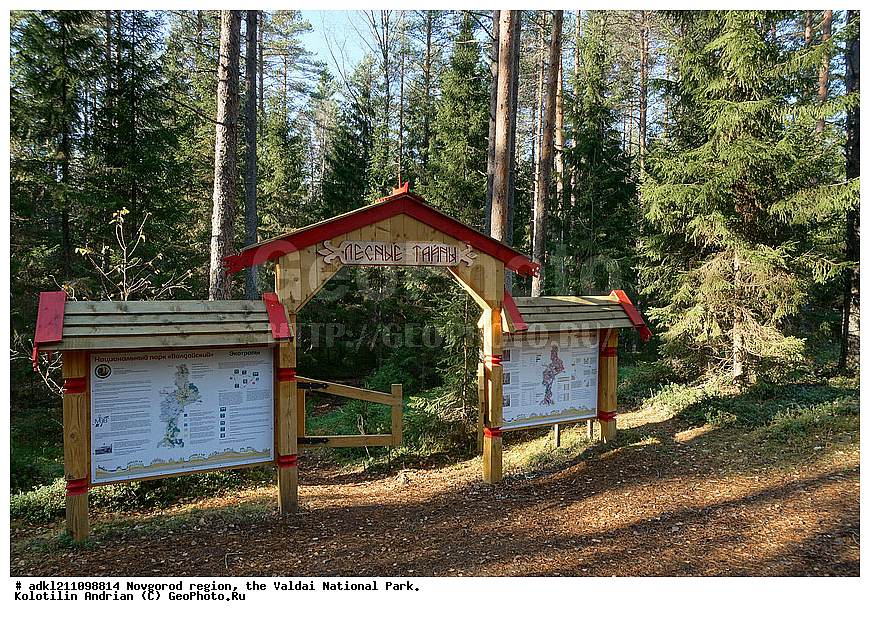 ������������ �������, ����������, �������, ������������ ����, ������, ������, ������, ������� ����, �����, ������� ������, ������, ����������� �����    
