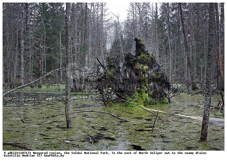 ������������ �������, ����������, �������, ������������ ����, ������, ������, ������, ������� ����, �����, ������� ������, ������ �����, ������, �����, �������, �������� �������