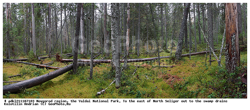 ������������ �������, ����������, �������, ������������ ����, ������, ������, ������, ������� ����, �����, ������� ������, ������ �����, ������, �����, �������, �������� �������