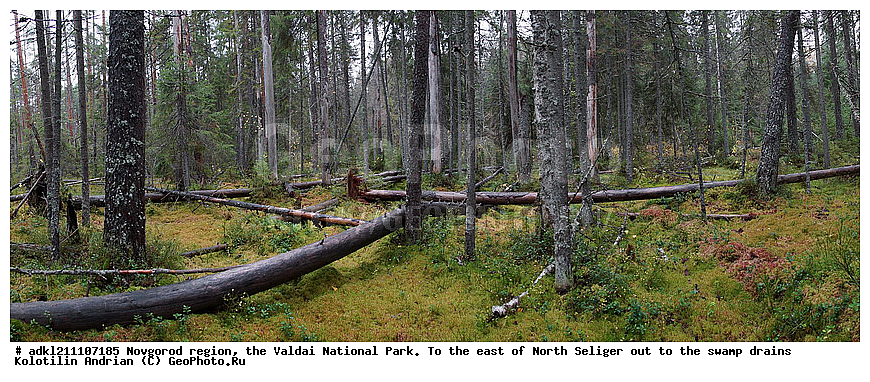 ������������ �������, ����������, �������, ������������ ����, ������, ������, ������, ������� ����, �����, ������� ������, ������ �����, ������, �����, �������, �������� �������