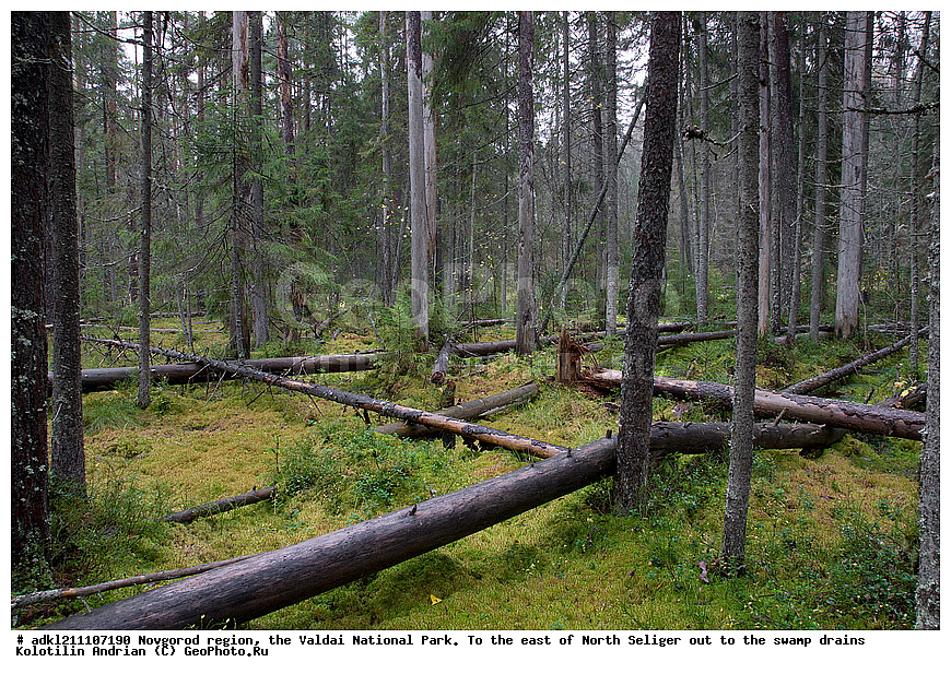 ������������ �������, ����������, �������, ������������ ����, ������, ������, ������, ������� ����, �����, ������� ������, ������ �����, ������, �����, �������, �������� �������