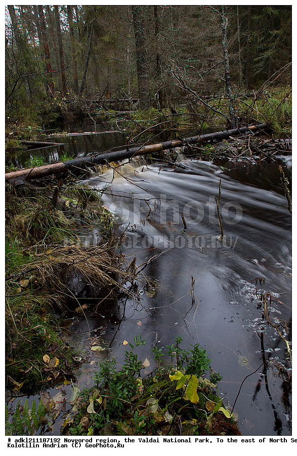 ������������ �������, ����������, �������, ������������ ����, ������, ������, ������, ������� ����, �����, ������� ������, ������ �����, ������, �����, �������, �������� �������