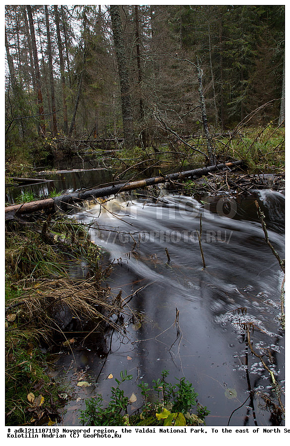 ������������ �������, ����������, �������, ������������ ����, ������, ������, ������, ������� ����, �����, ������� ������, ������ �����, ������, �����, �������, �������� �������