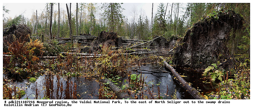 ������������ �������, ����������, �������, ������������ ����, ������, ������, ������, ������� ����, �����, ������� ������, ������ �����, ������, �����, �������, �������� �������