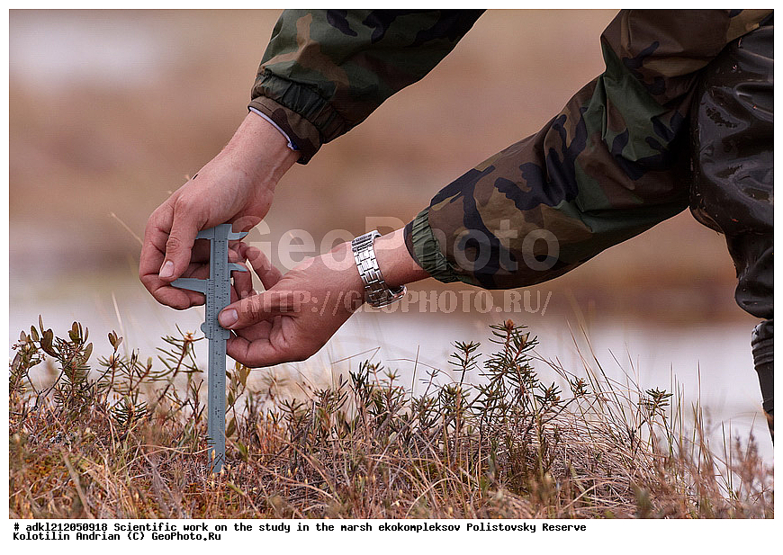  ��������, ������,  ��������, ������������, ����������, ������ ����, ����,  ������, ������, ������� ������, �������������, ������, �������� �����, ��������, �������, ������� ������������