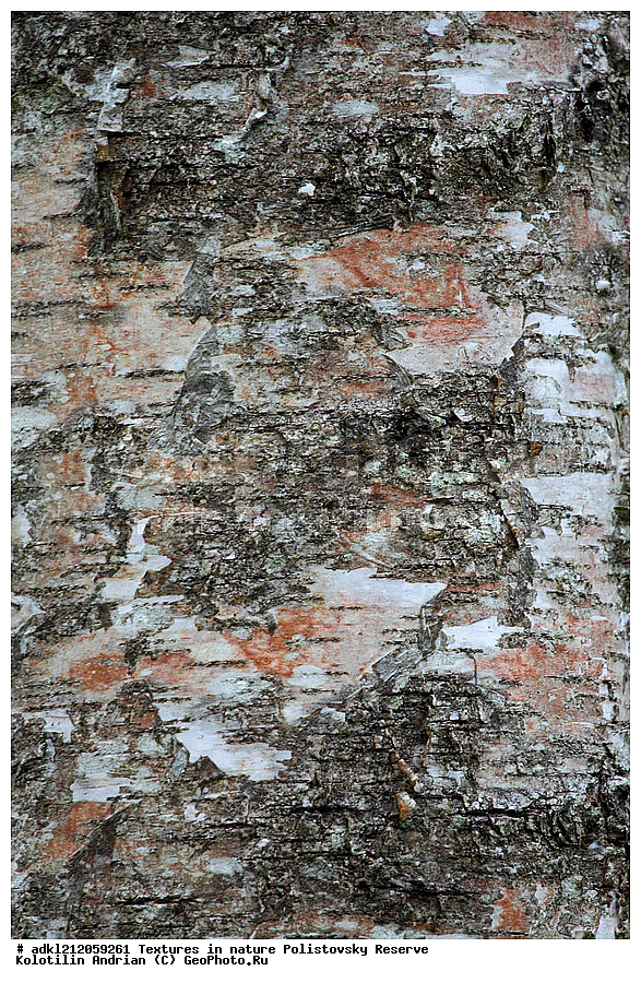  �������, ��������, ������������ ����������, ��������, ���� ��������