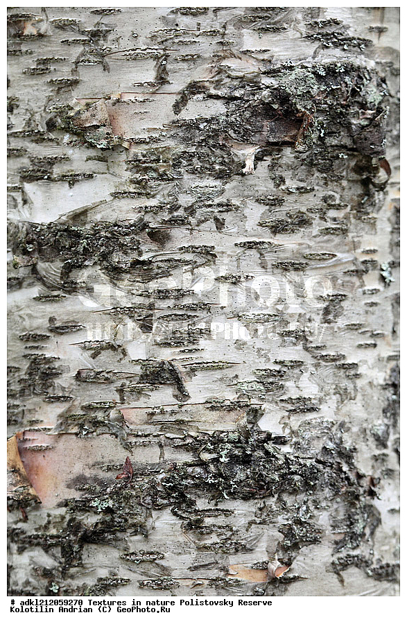  �������, ��������, ������������ ����������, ��������, ���� ��������