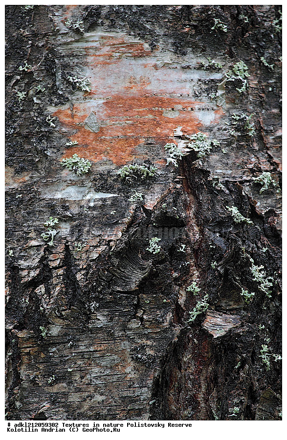  �������, ��������, ������������ ����������, ��������, ���� ��������