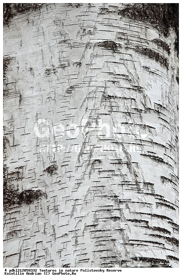  �������, ��������, ������������ ����������, ��������, ���� ��������