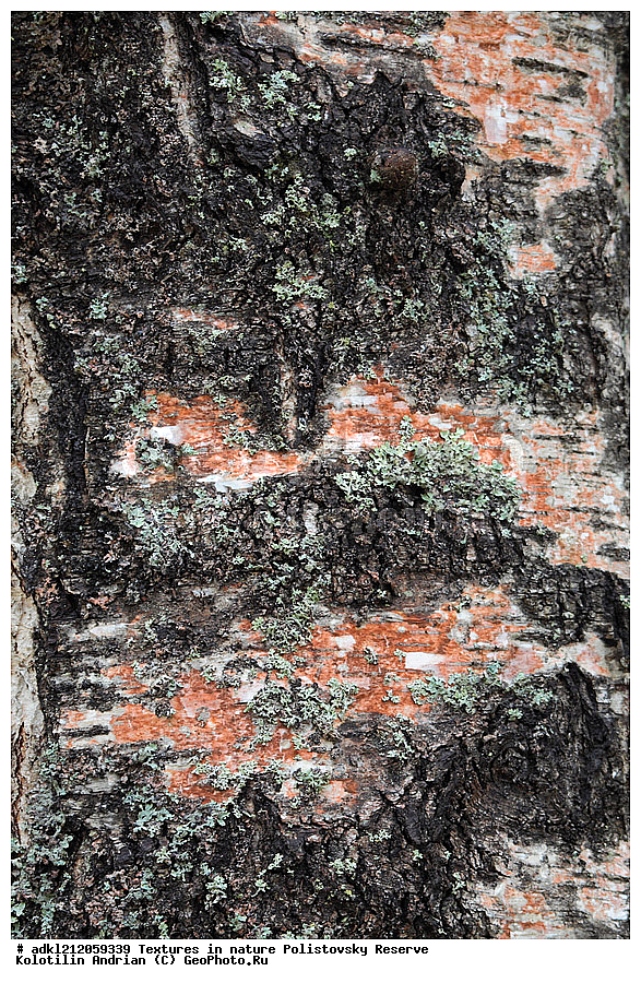  �������, ��������, ������������ ����������, ��������, ���� ��������