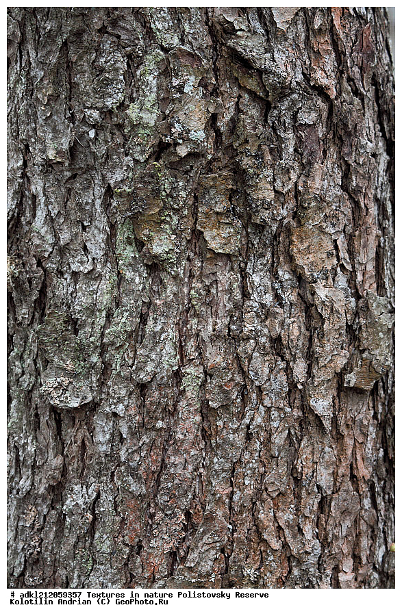  �������, ��������, ������������ ����������, ��������, ���� ��������