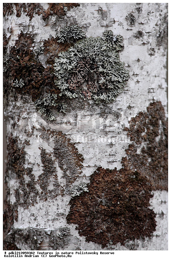  �������, ��������, ������������ ����������, ��������, ���� ��������